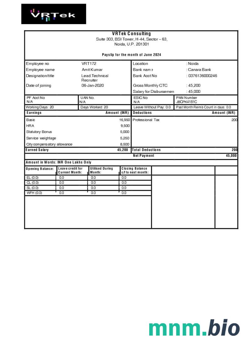 Szablon Vrtek Consulting payslip w formatach Word i PDF